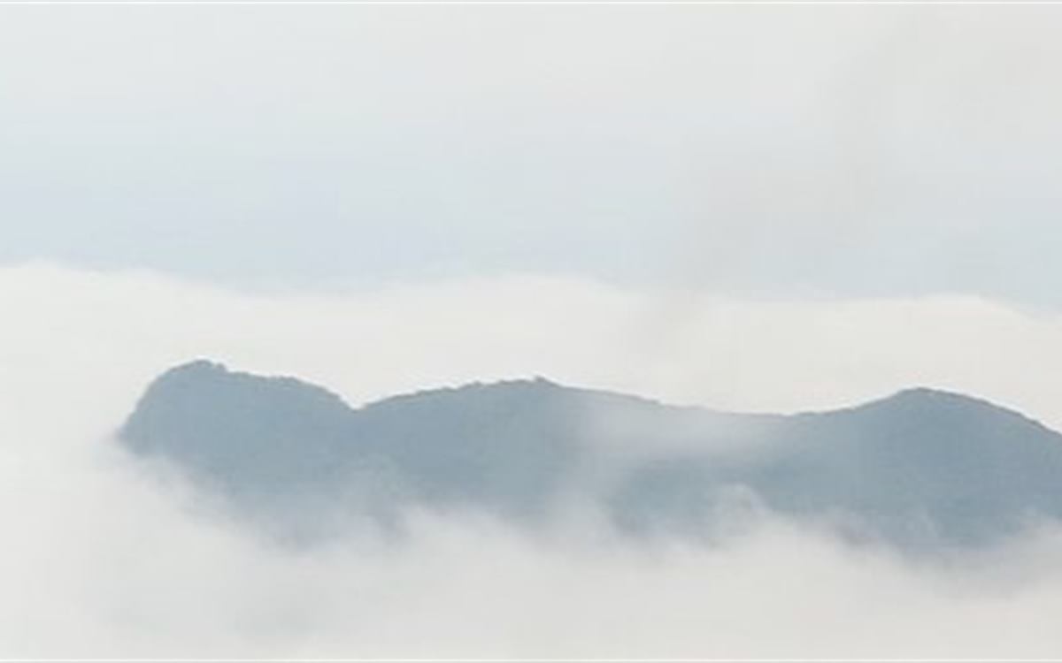 摩围山森林环线第6张风景照片