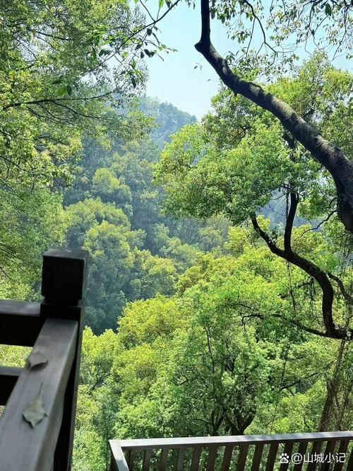 黄葛古道至老君洞第2张风景照片
