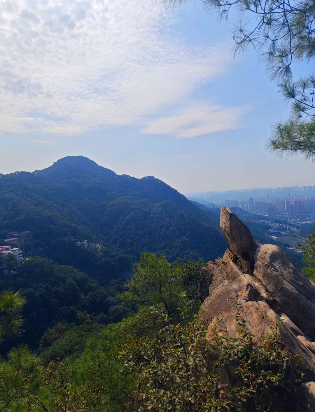 歌乐山森林环线第1张风景照片
