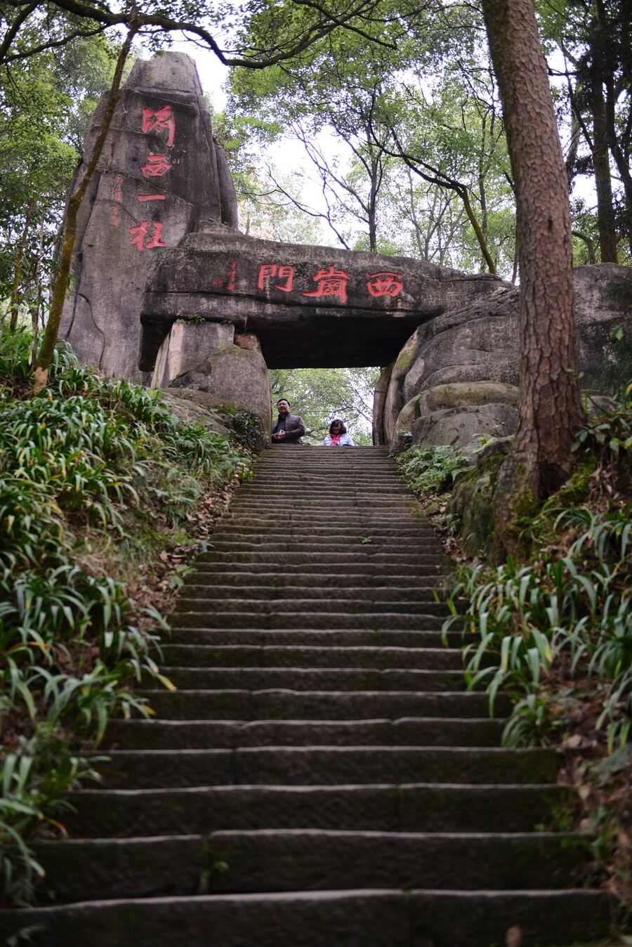 歌乐山森林环线第2张风景照片