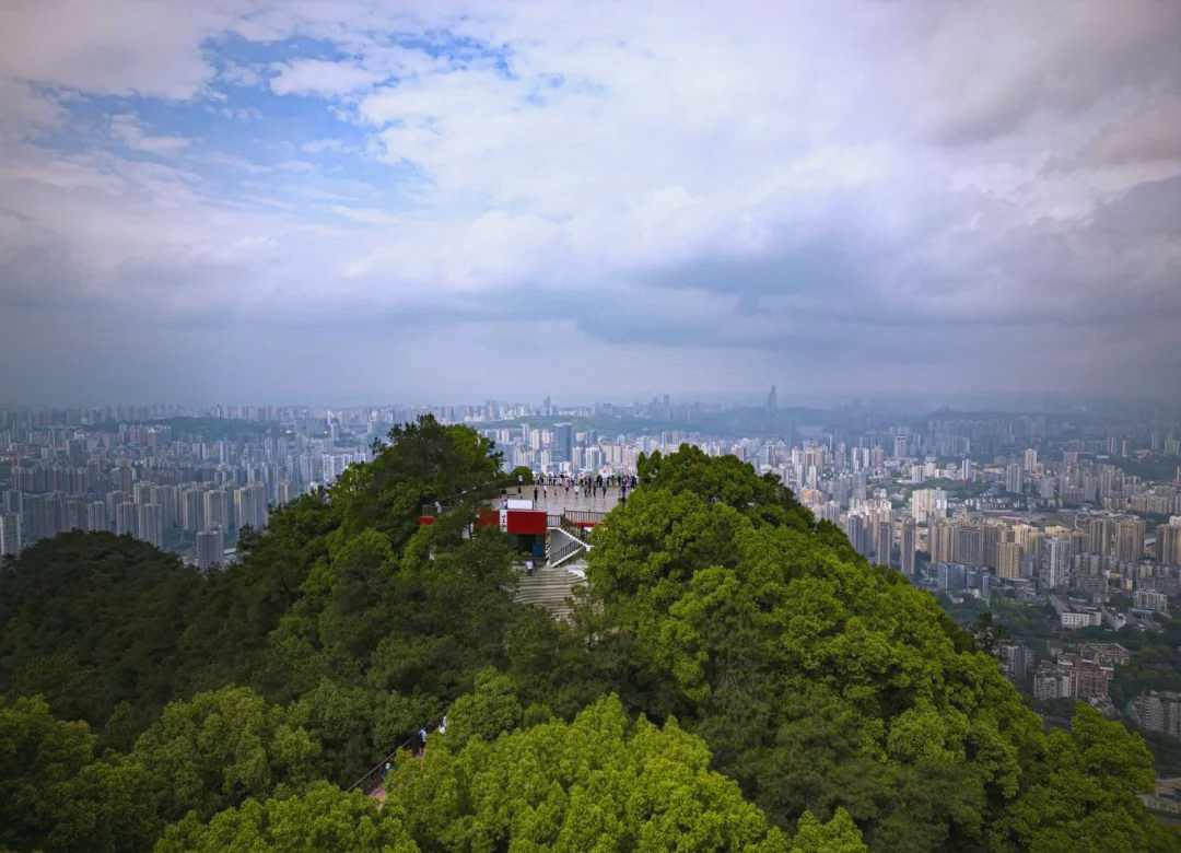 歌乐山森林环线第3张风景照片