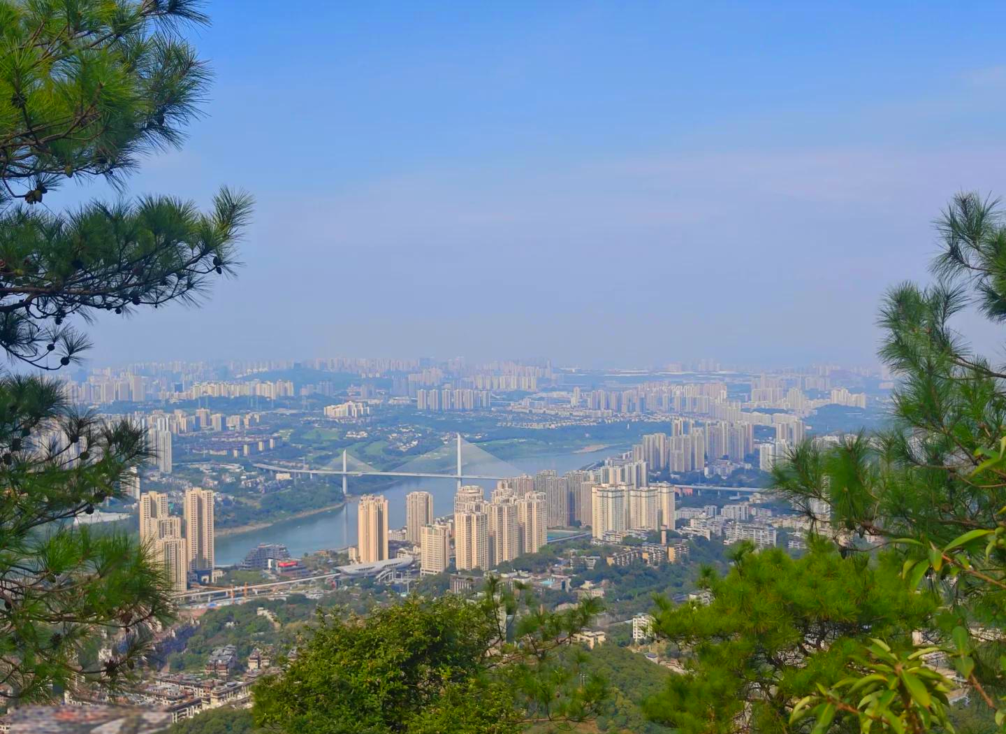 歌乐山森林环线第5张风景照片