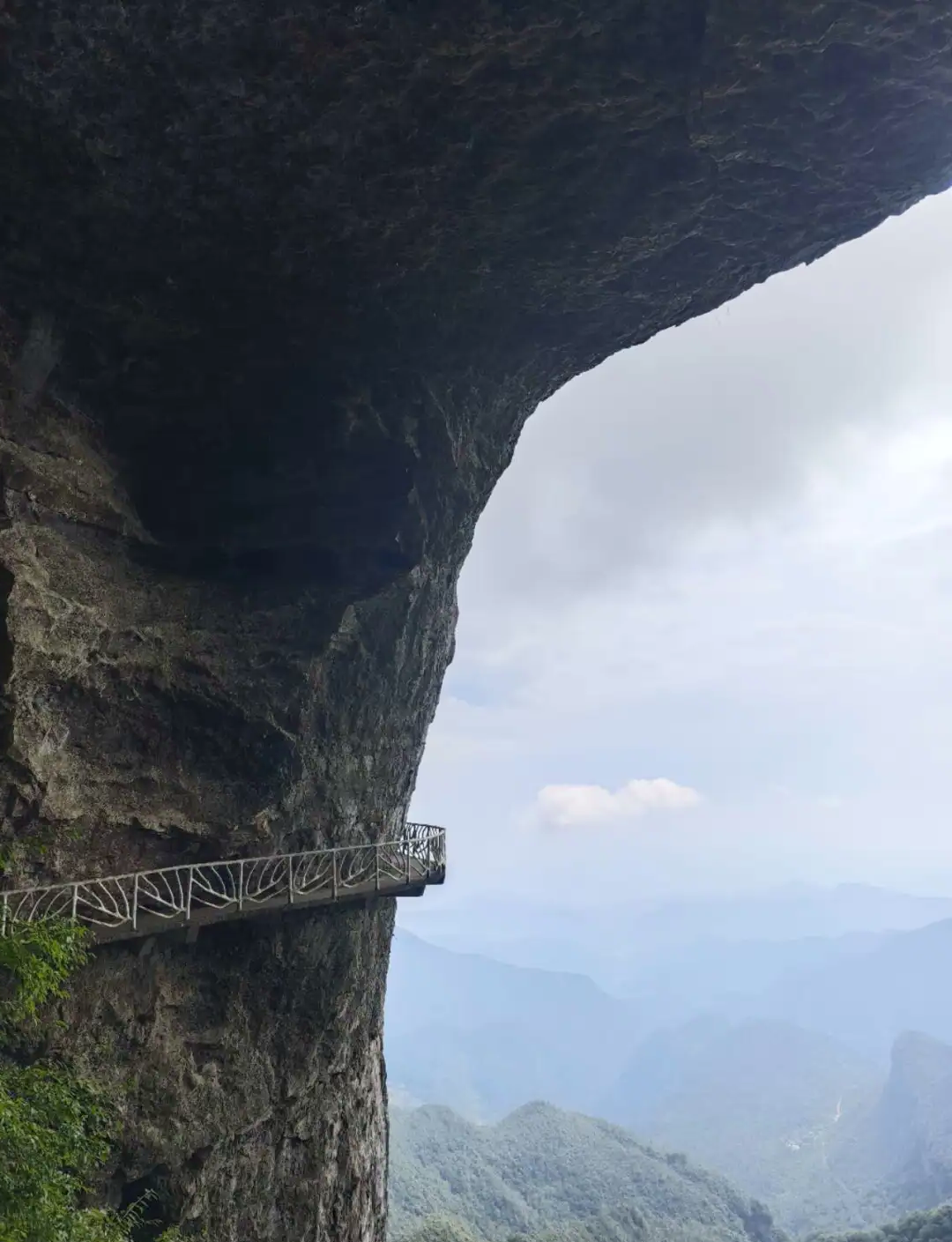 金佛山硬核巅峰第1张风景照片