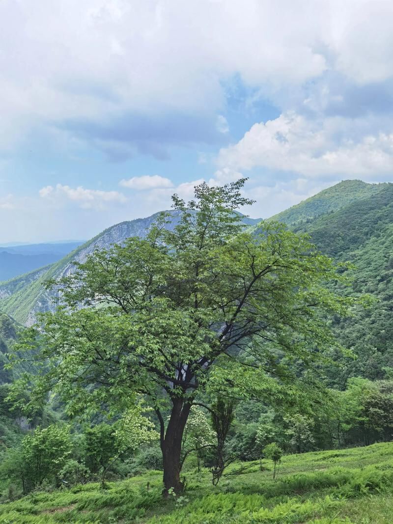 丰都夹壁山第6张风景照片