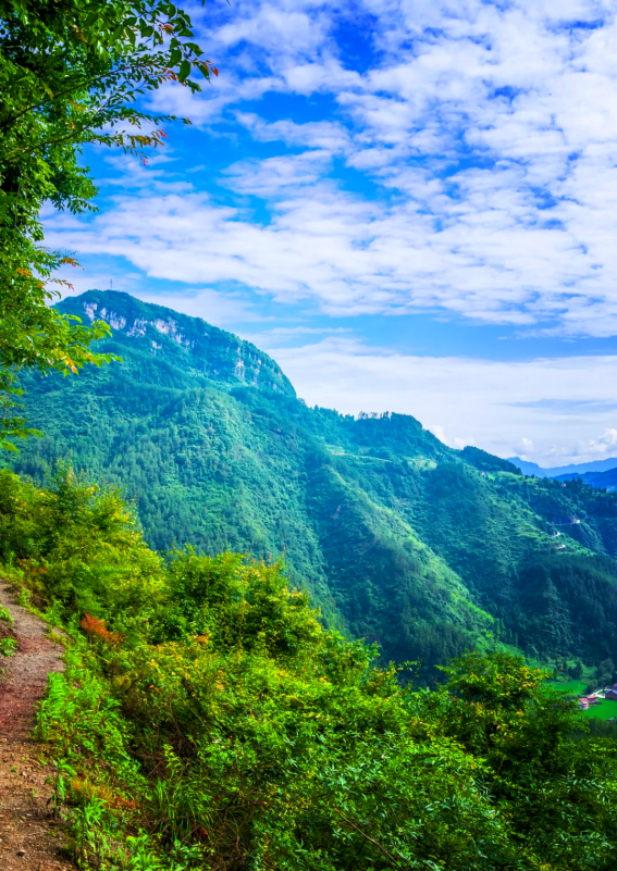 南川悬崖村第2张风景照片