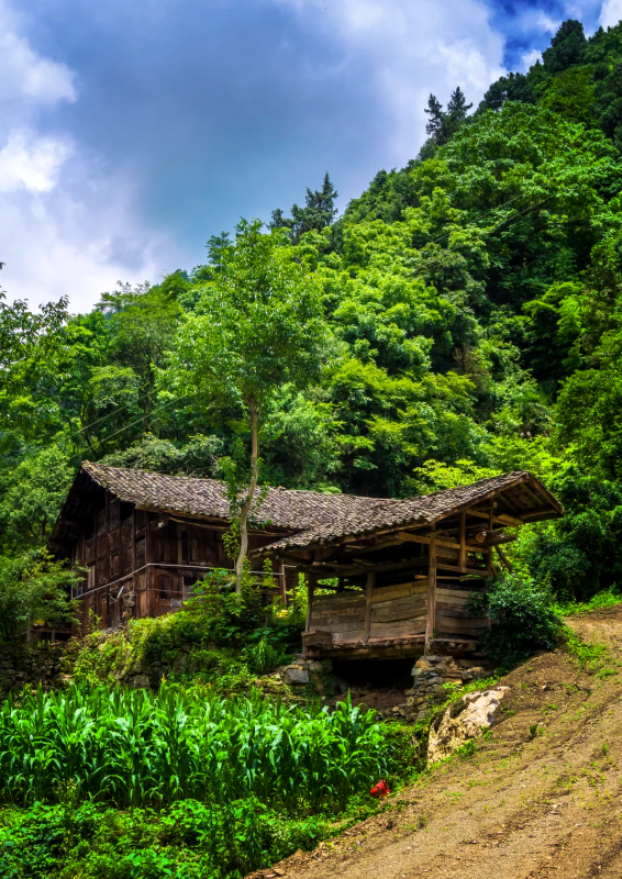 南川悬崖村第3张风景照片