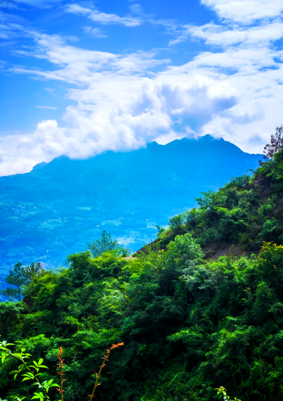 南川悬崖村第4张风景照片