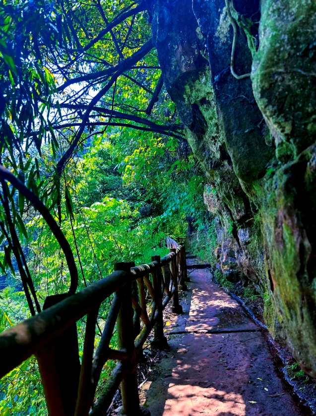 江津大圆洞国家森林公园第3张风景照片