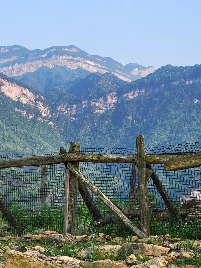 南川漆树堂第5张风景照片