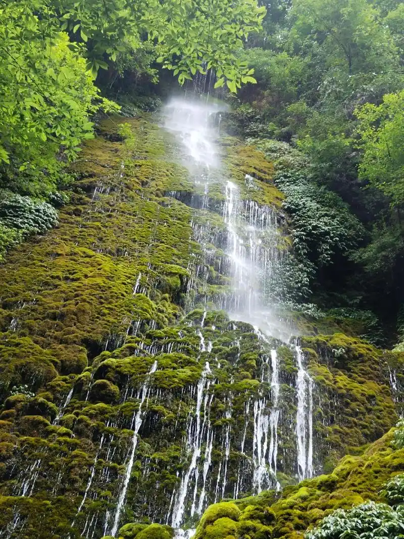 青城后山第3张风景照片