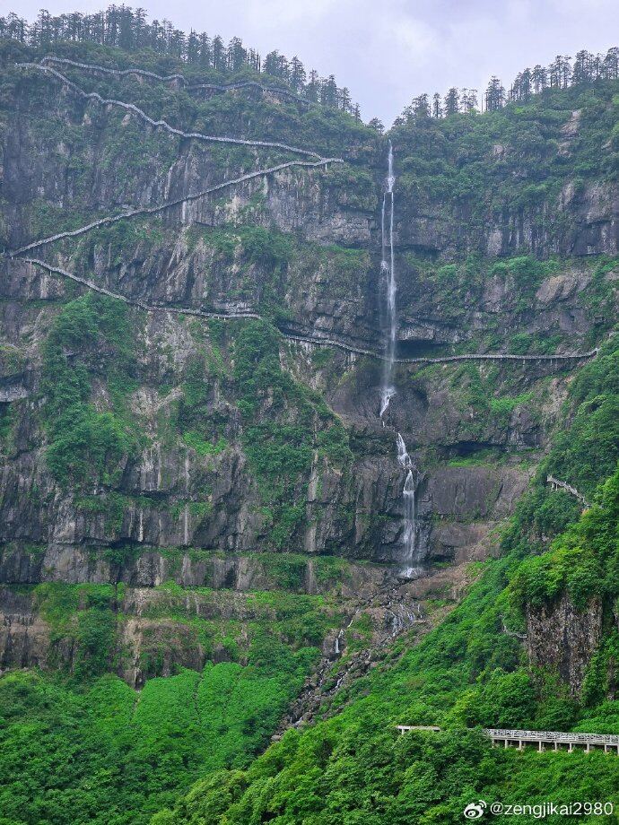 瓦屋山原始森林环线第3张风景照片