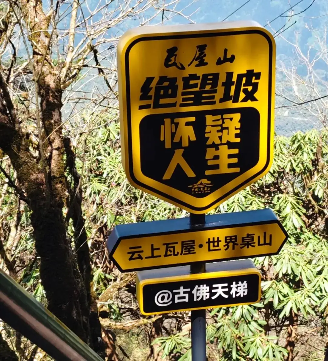 瓦屋山原始森林环线第4张风景照片