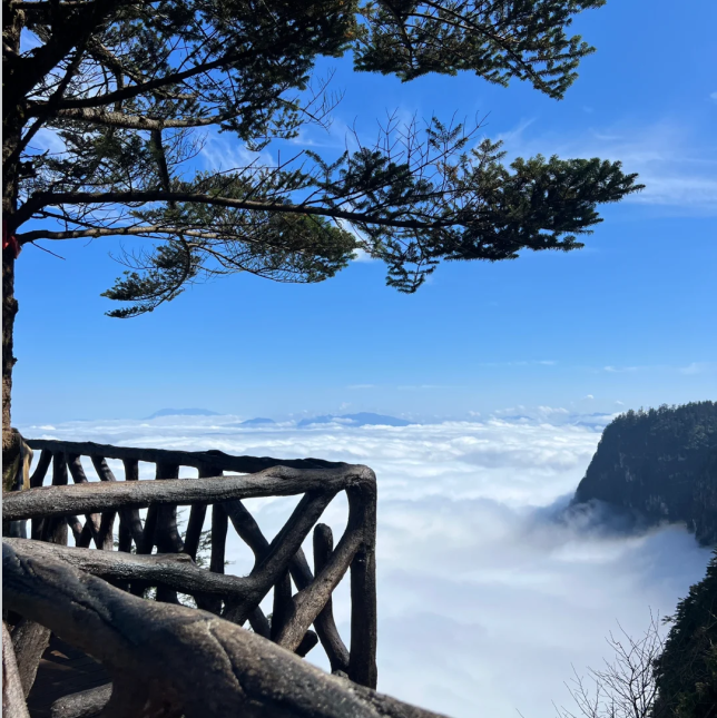 瓦屋山原始森林环线第6张风景照片