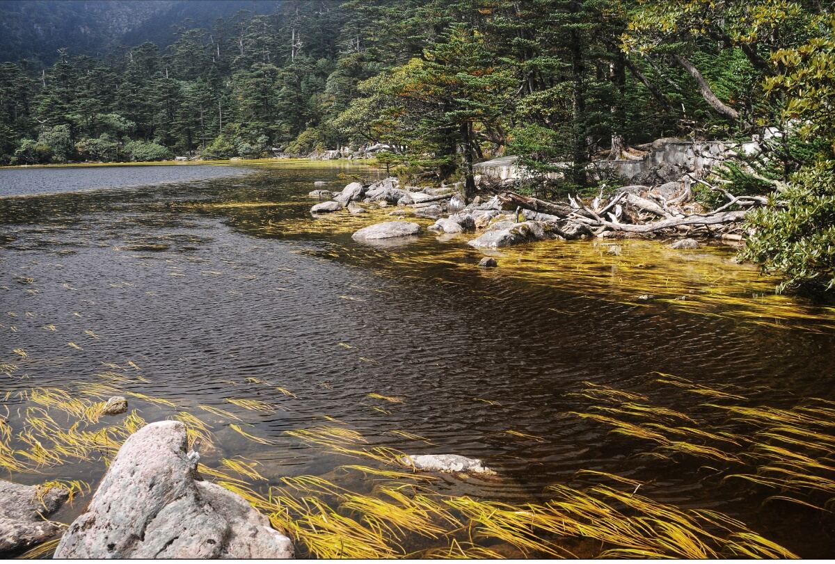 螺髻山仙草湖第4张风景照片