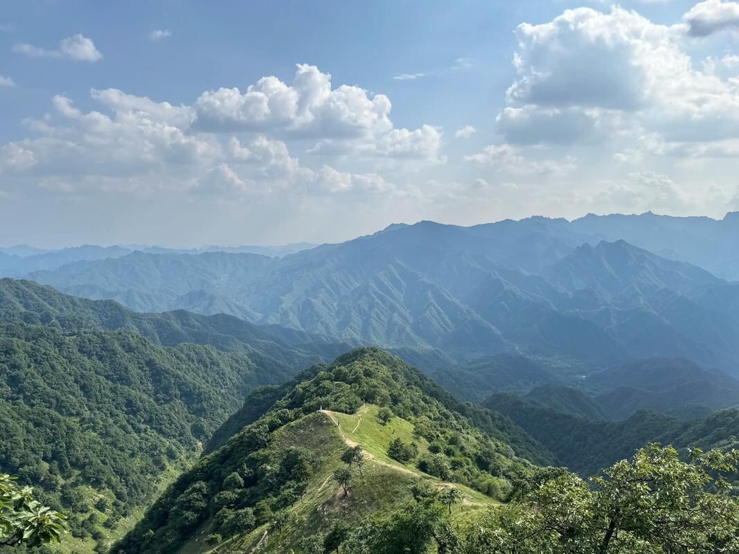秦岭华阳草甸第4张风景照片