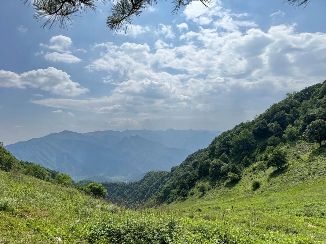 秦岭华阳草甸第5张风景照片