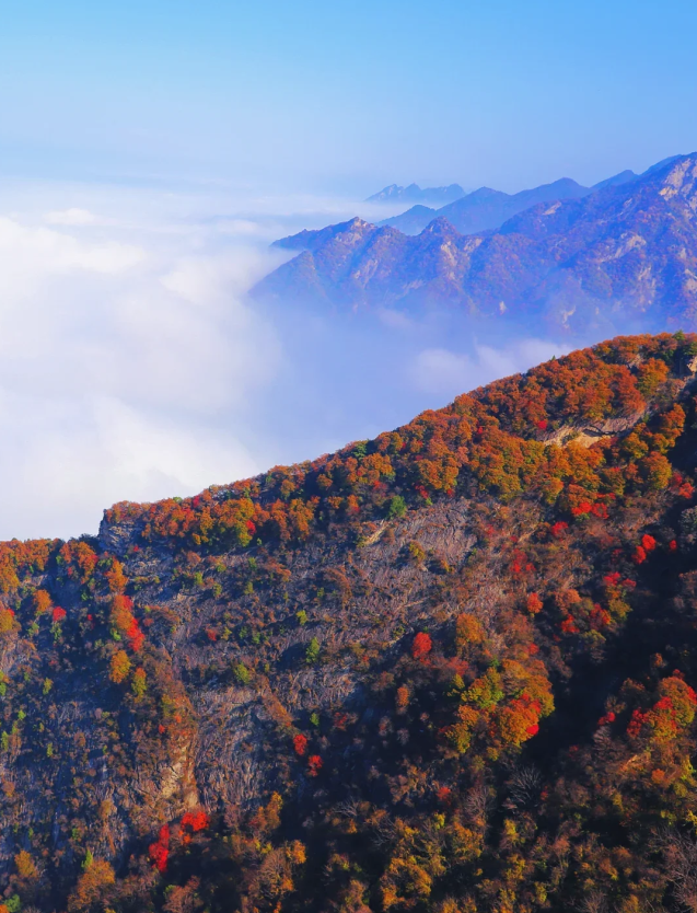 秦岭嘉午台第2张风景照片