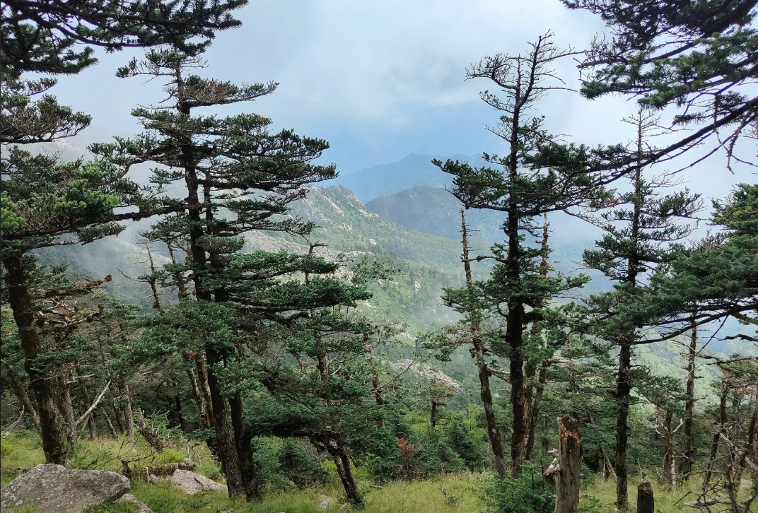 秦岭冰晶顶第3张风景照片