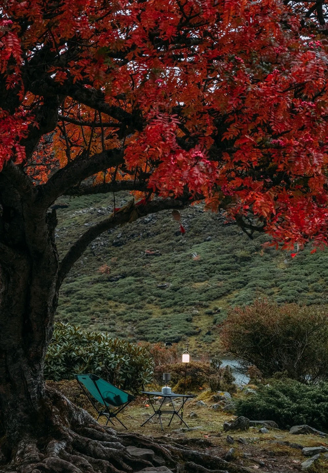 哈巴黑海第1张风景照片
