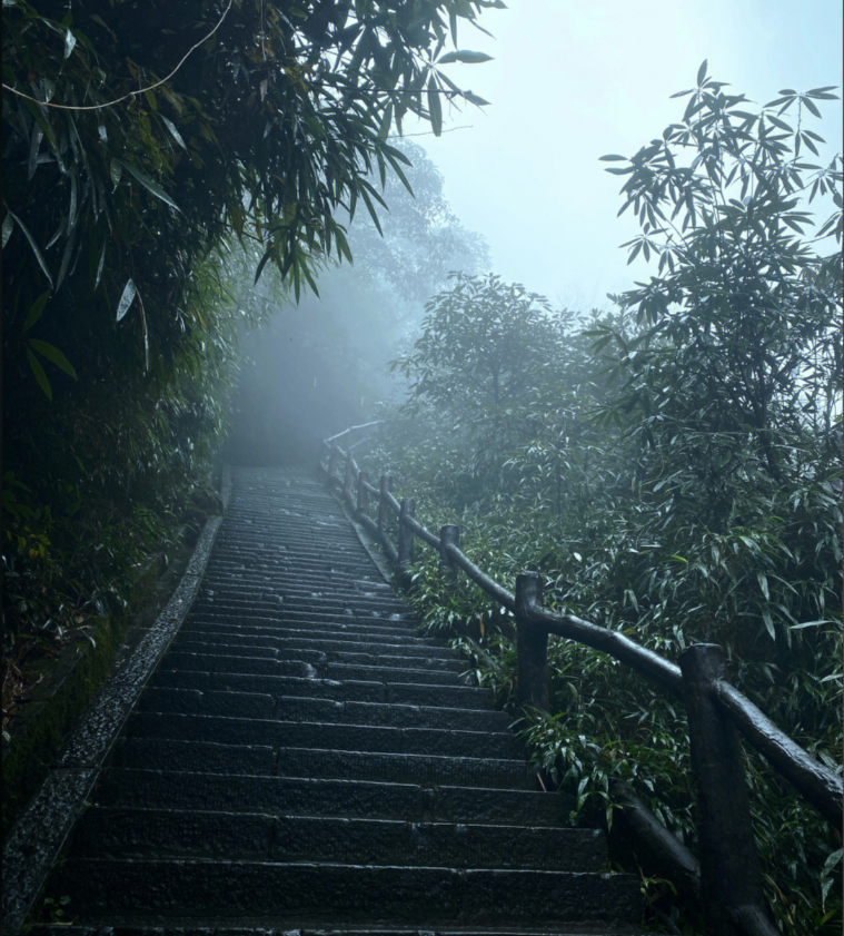 峨眉山第5张风景照片