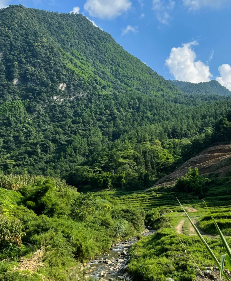 广安五岔沟第2张风景照片