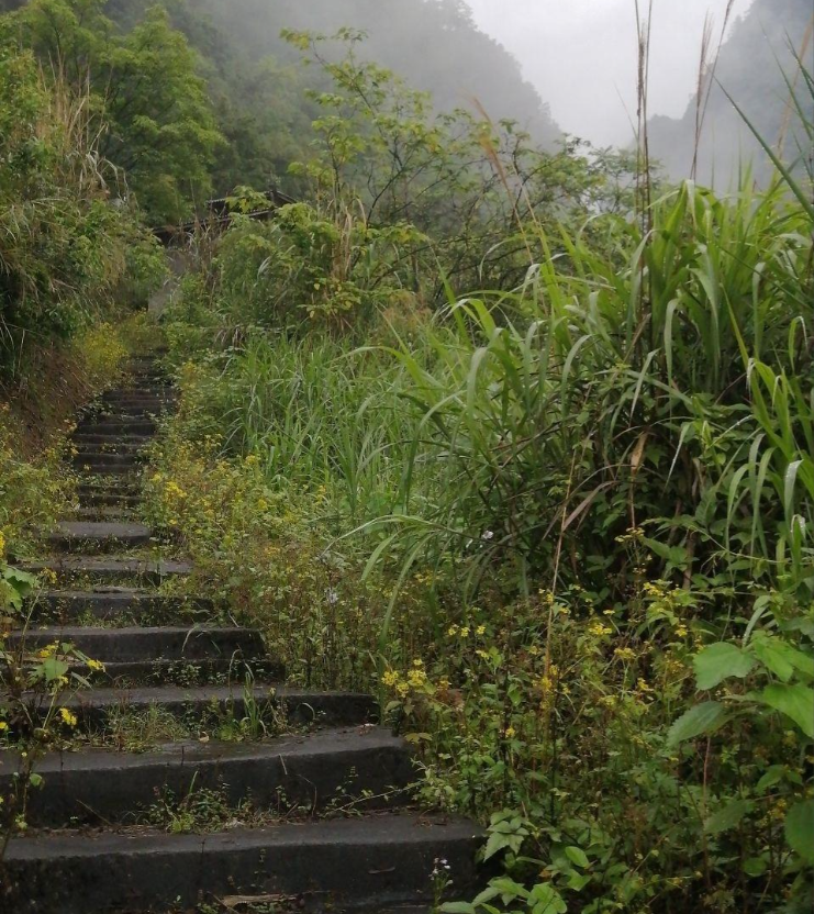 广安五岔沟第3张风景照片