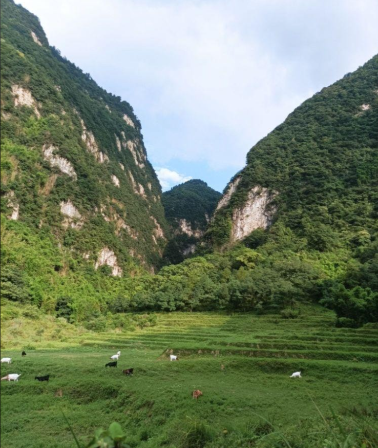 广安五岔沟第5张风景照片