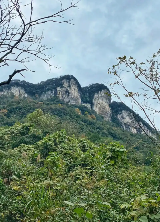 华蓥白岩第5张风景照片