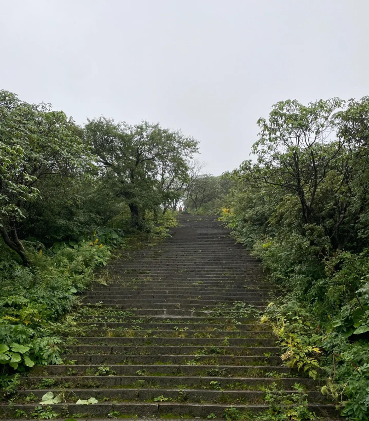 千佛山第4张风景照片