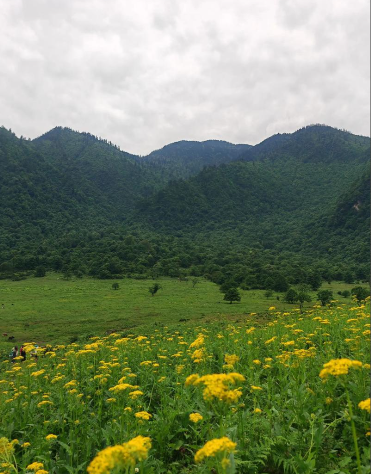 峨边黑竹沟第2张风景照片