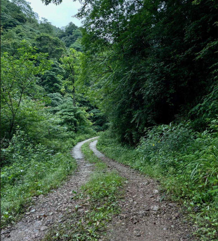上元古道第2张风景照片