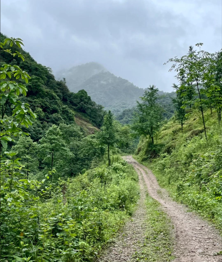 上元古道第3张风景照片