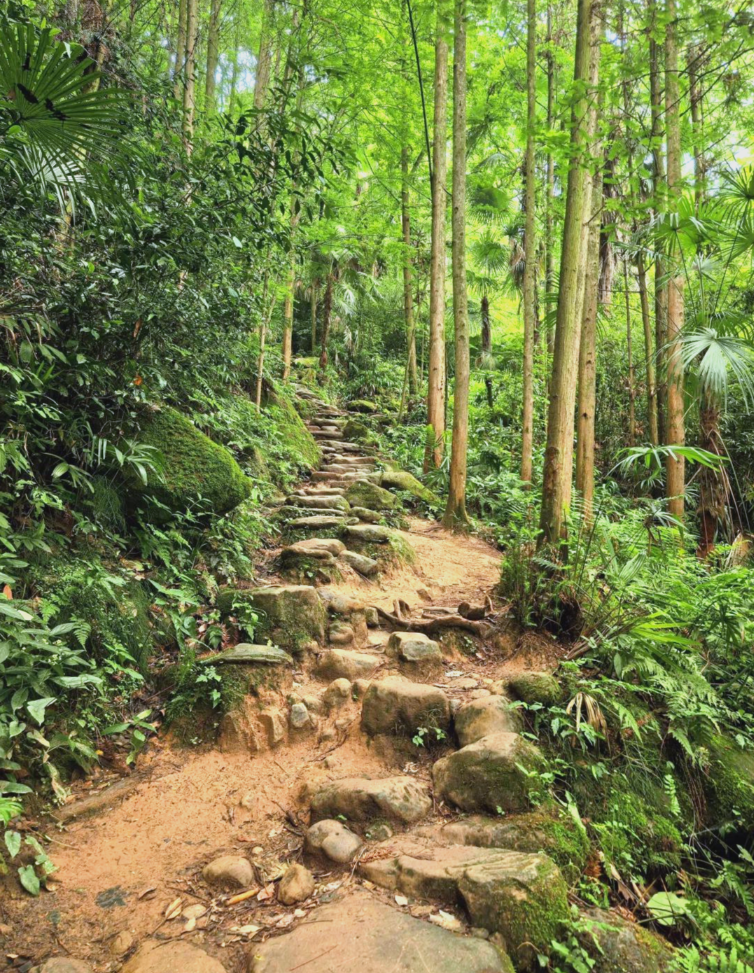 上元古道第5张风景照片
