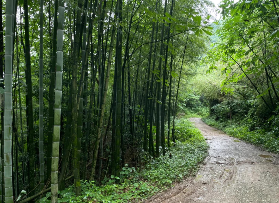 上元古道第6张风景照片