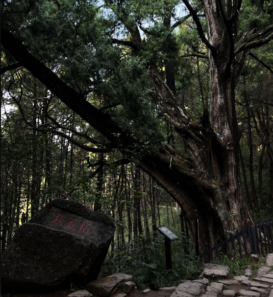 古蜀道栏马墙长线第2张风景照片