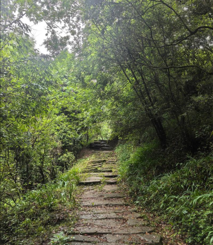 广元剑昭古蜀道长线第3张风景照片
