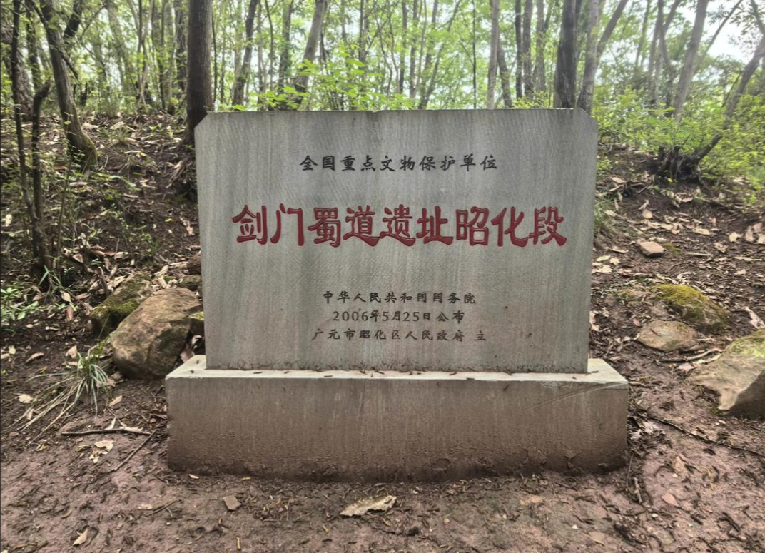 广元剑昭古蜀道长线第5张风景照片