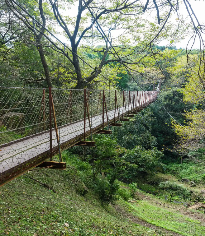 重庆铁山坪环线第6张风景照片