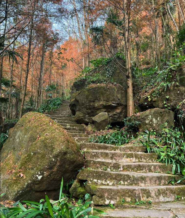 彭州葛仙山换线第3张风景照片