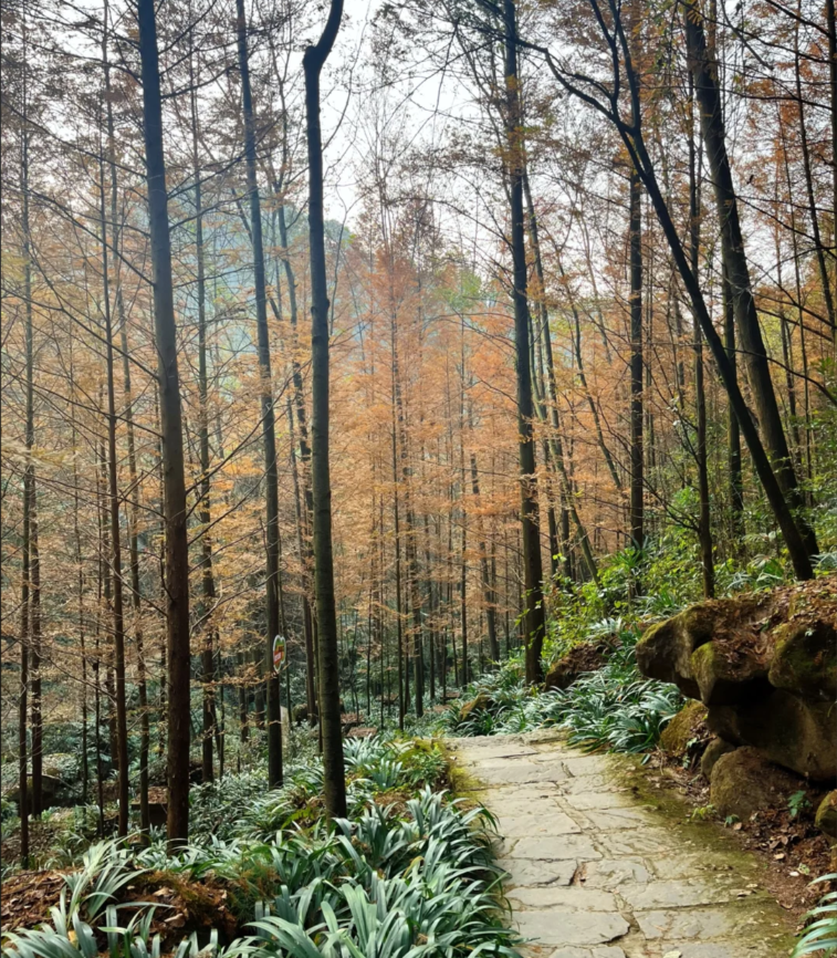 彭州葛仙山换线第4张风景照片