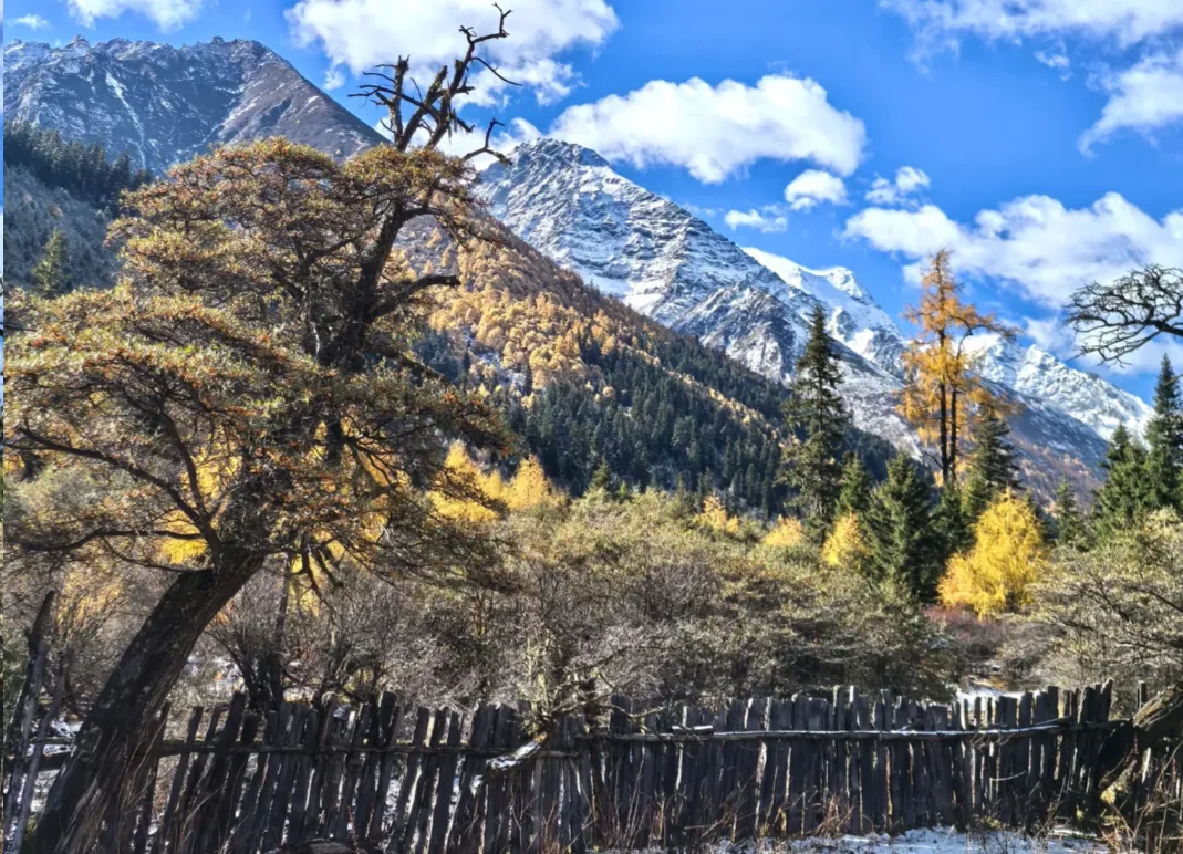 小金大二普第4张风景照片