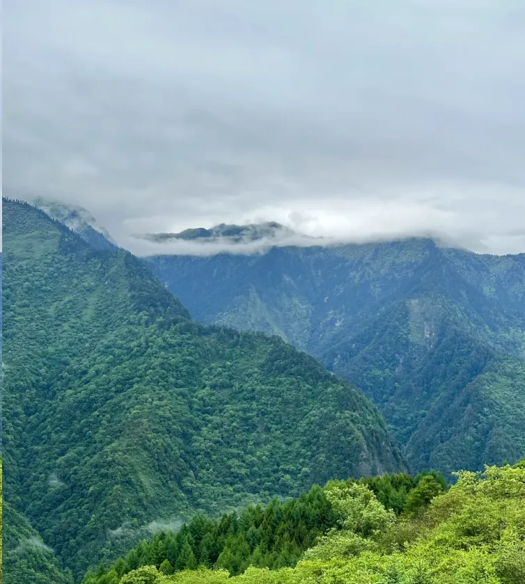卧龙云中牧场第1张风景照片