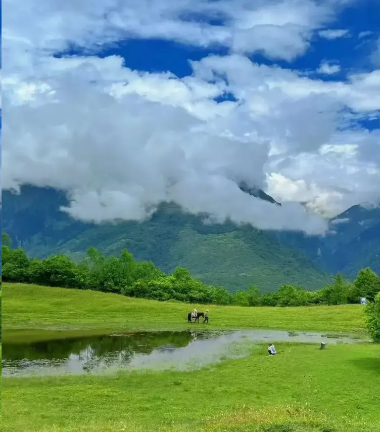 卧龙云中牧场第6张风景照片