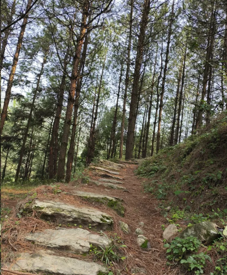 广安霍比特换线第1张风景照片