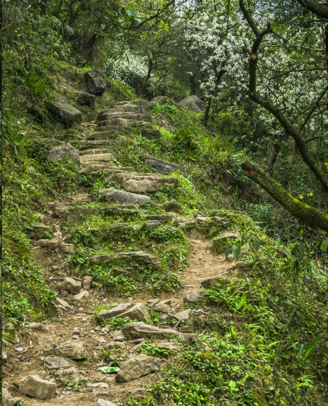广安霍比特换线第4张风景照片